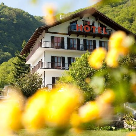 Hotel Palavas Villar Pellice Экстерьер фото