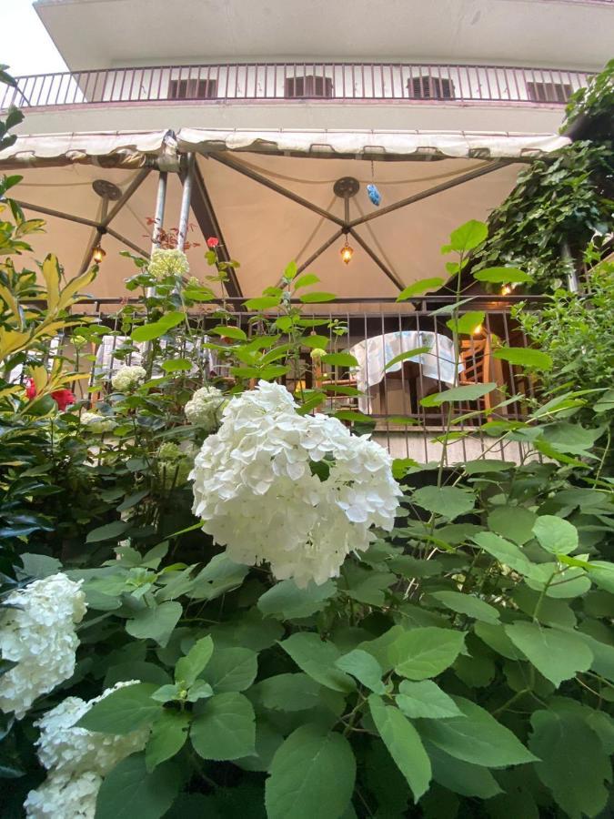 Hotel Palavas Villar Pellice Экстерьер фото